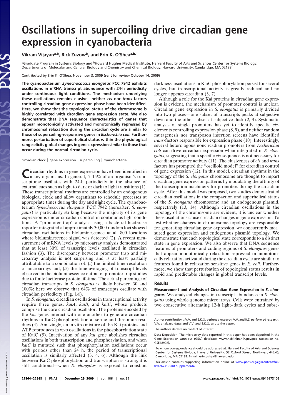 Oscillations in Supercoiling Drive Circadian Gene Expression in Cyanobacteria