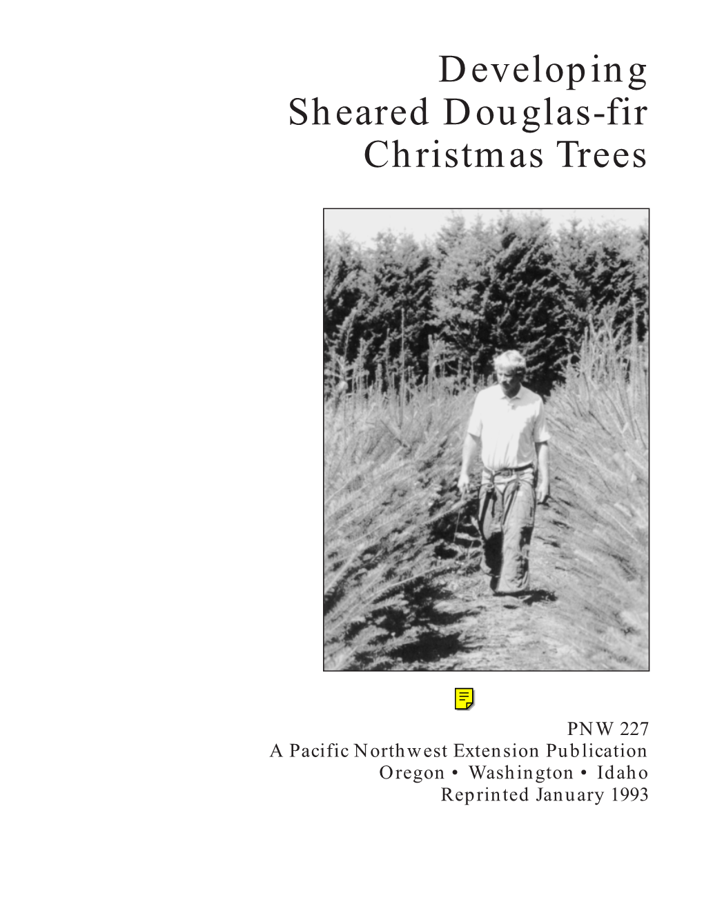 Developing Sheared Douglas-Fir Christmas Trees