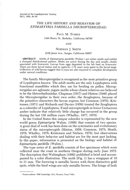 The Life History and Behavior of Epimartyria Pardella (Micropterigidae)