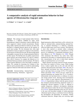 A Comparative Analysis of Rapid Antennation Behavior in Four Species of Odontomachus Trap-Jaw Ants