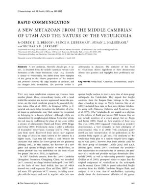 A NEW METAZOAN from the MIDDLE CAMBRIAN of UTAH and the NATURE of the VETULICOLIA by DEREK E