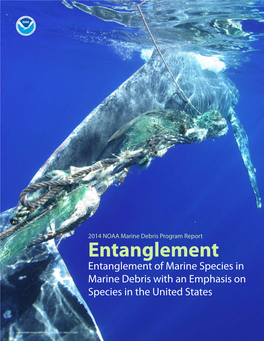 Entanglement of Marine Species in Marine Debris with an Emphasis on Species in the United States