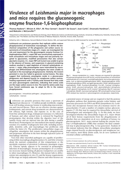Virulence of Leishmania Major in Macrophages and Mice Requires the Gluconeogenic Enzyme Fructose-1,6-Bisphosphatase