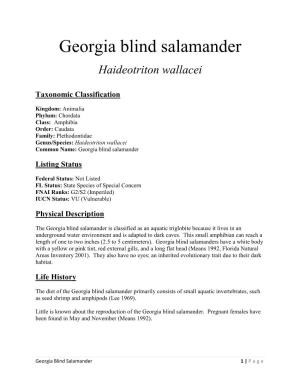 Georgia Blind Salamander