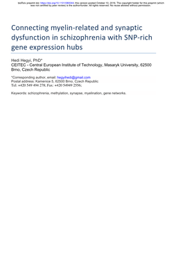 Connecting Myelin-Related and Synaptic Dysfunction in Schizophrenia with SNP-Rich Gene Expression Hubs