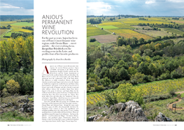 Anjou's Permanent Wine Revolution