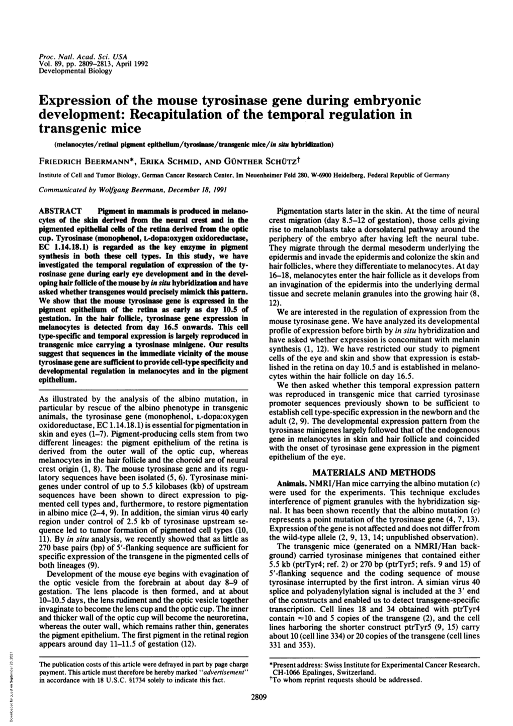 Expression of the Mouse Tyrosinase Gene During Embryonic Development