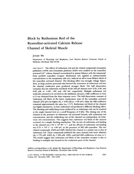 Block by Ruthenium Red of the Ryanodine-Activated Calcium