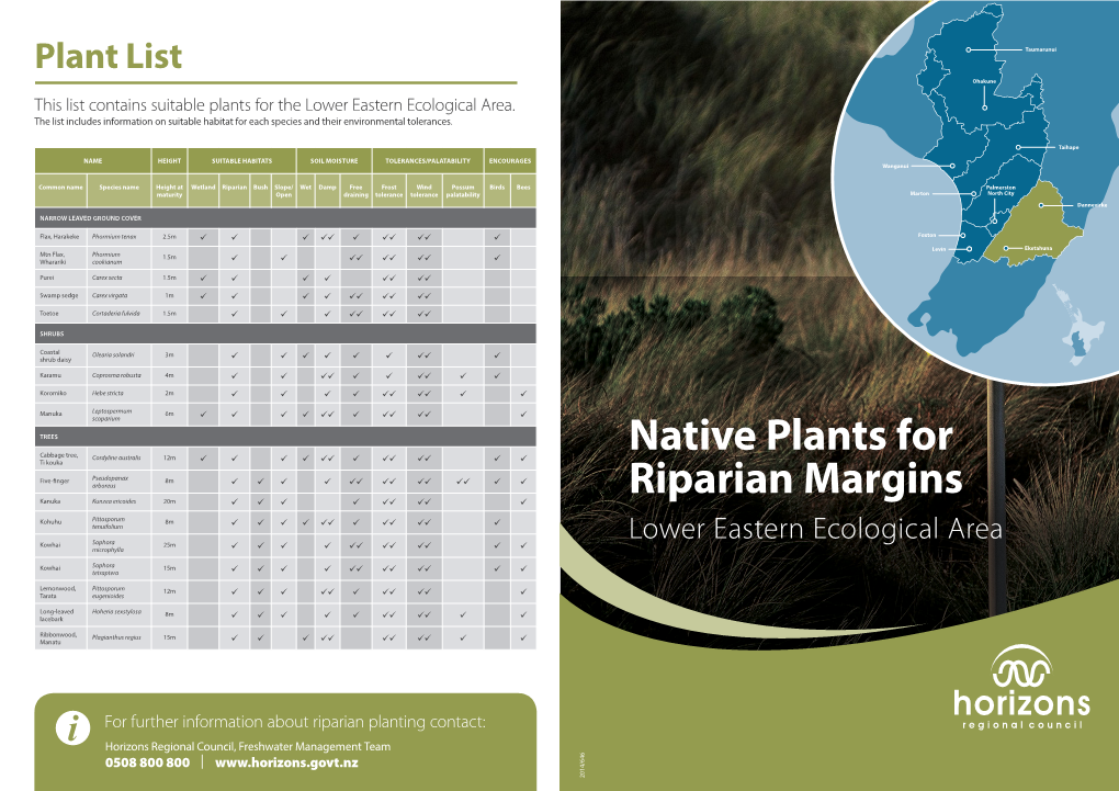 Native Plants for Riparian Margins