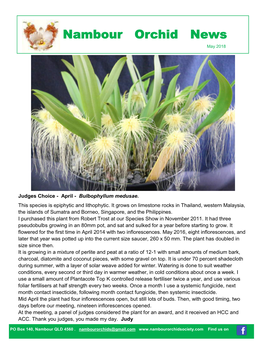 Nambour Orchid News Februarymay 2018 2018