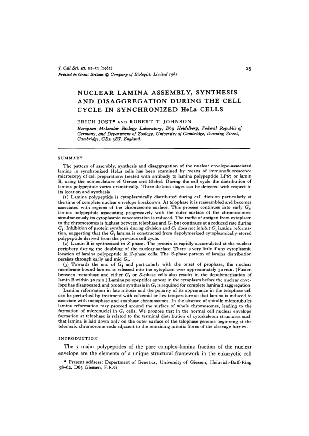 NUCLEAR LAMINA ASSEMBLY, SYNTHESIS and DISAGGREGATION DURING the CELL CYCLE in SYNCHRONIZED Hela CELLS