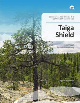 Taiga Shield