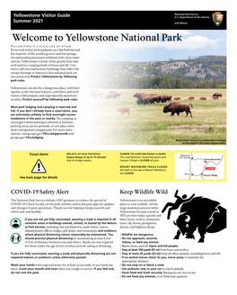 Yellowstone National Park Summer Visitor Guide, 2Nd Edition