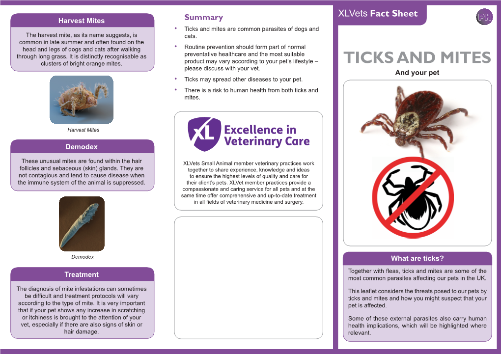 Ticks and Mites Are Common Parasites of Dogs and the Harvest Mite, As ...