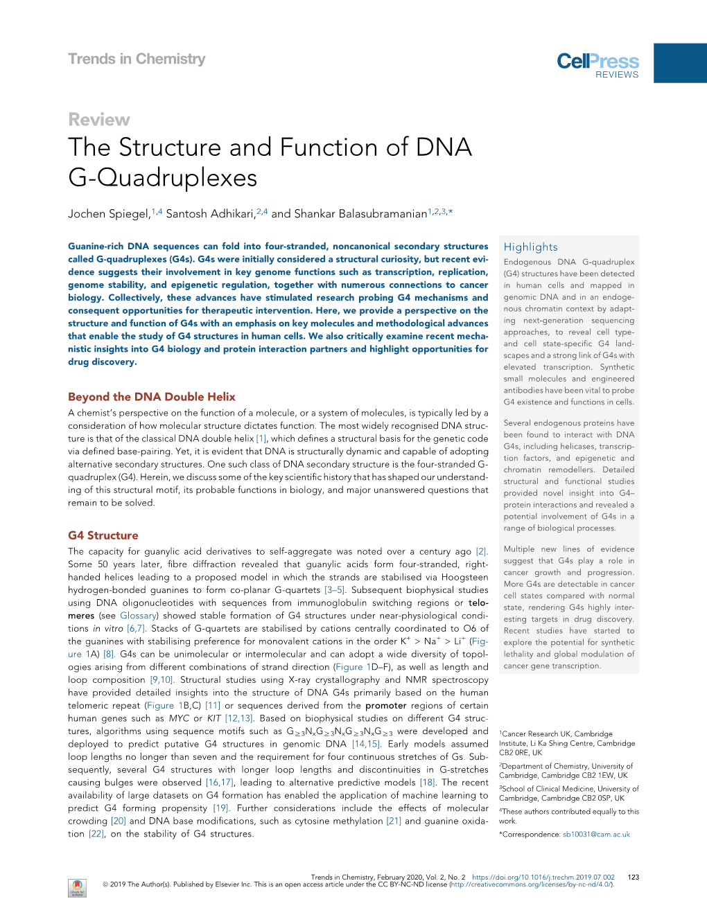 The Structure and Function of DNA G-Quadruplexes