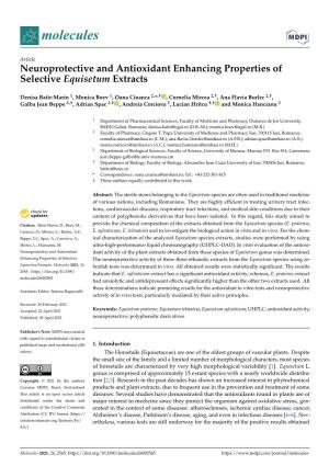 Neuroprotective and Antioxidant Enhancing Properties of Selective Equisetum Extracts