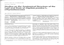 Studies on the Anatomical Structure of the Leaf and Stem of Daphne Pontica L