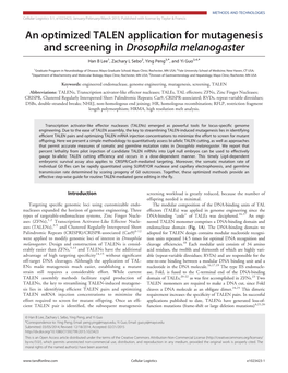 An Optimized TALEN Application for Mutagenesis and Screening in Drosophila Melanogaster