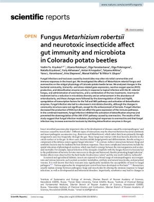 Fungus Metarhizium Robertsii and Neurotoxic Insecticide Affect Gut