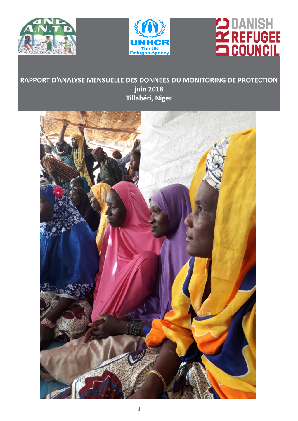 Rapport Monitoring Protection Tillaberi Juin 2018