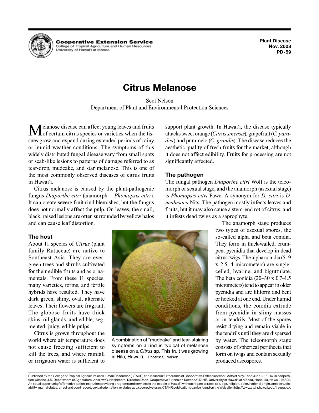 Citrus Melanose