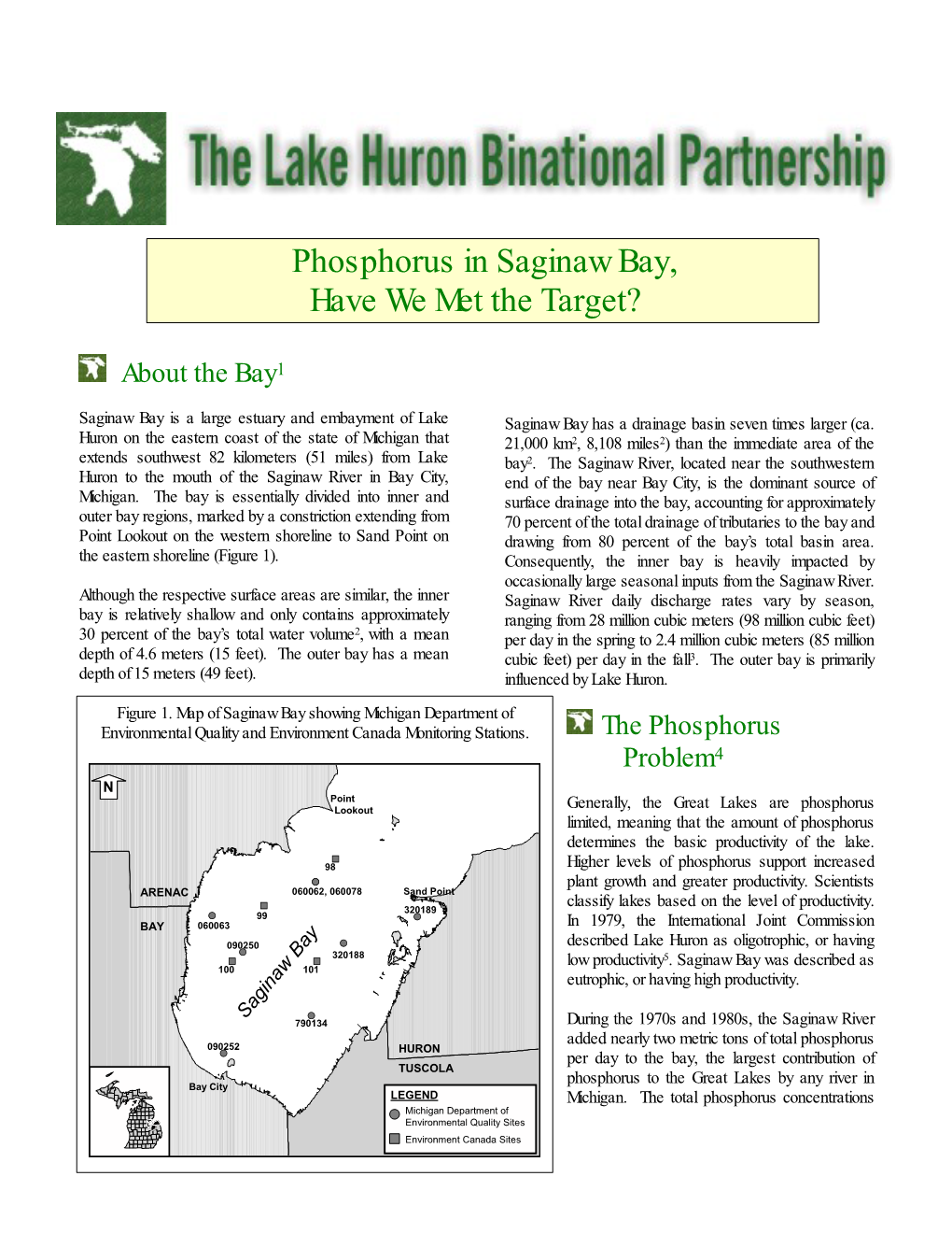 Phosphorus in Saginaw Bay, Have We Met the Target?