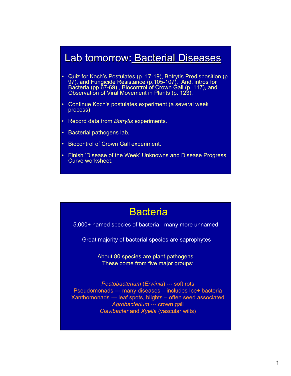 Bacterial Diseases Bacteria