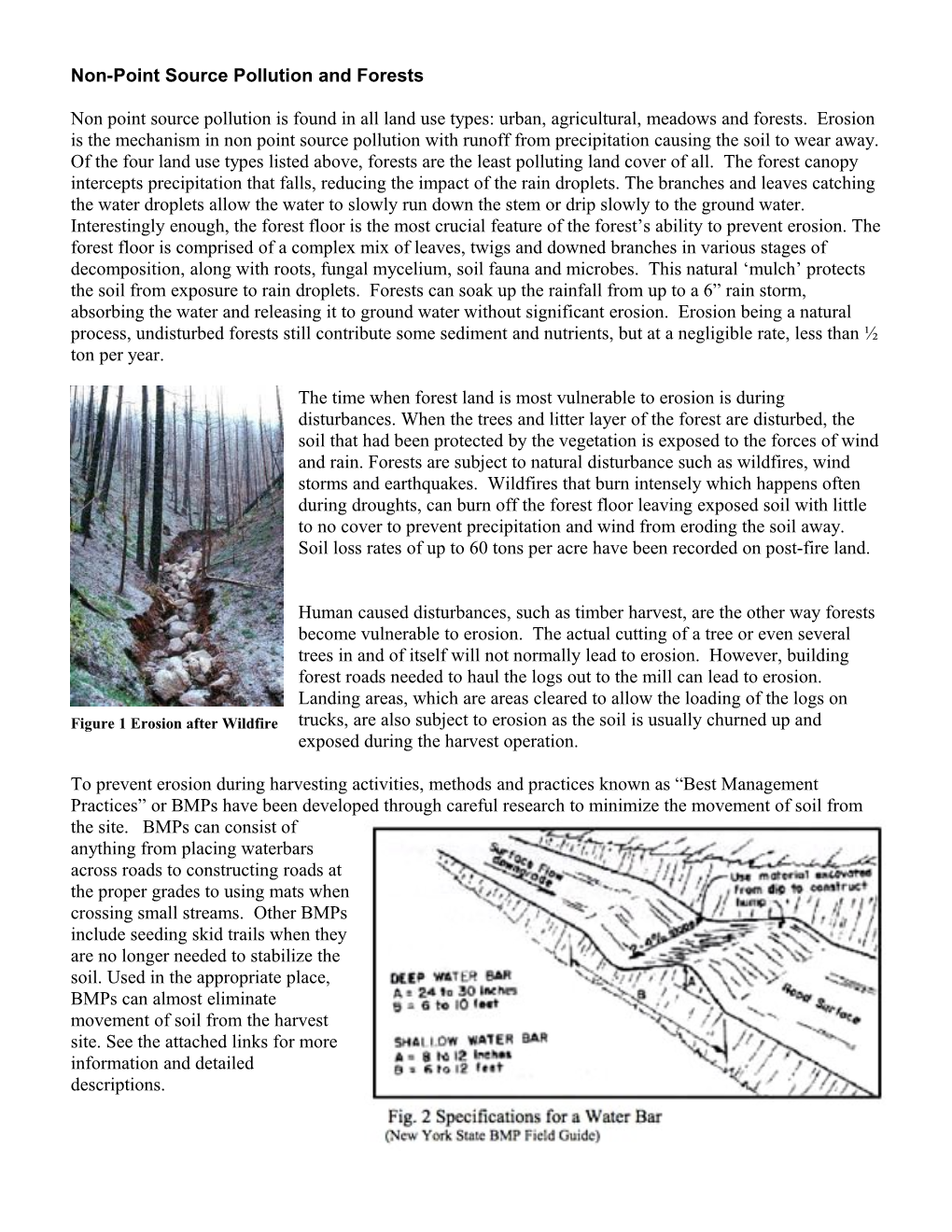 Non-Point Source Pollution and Forests