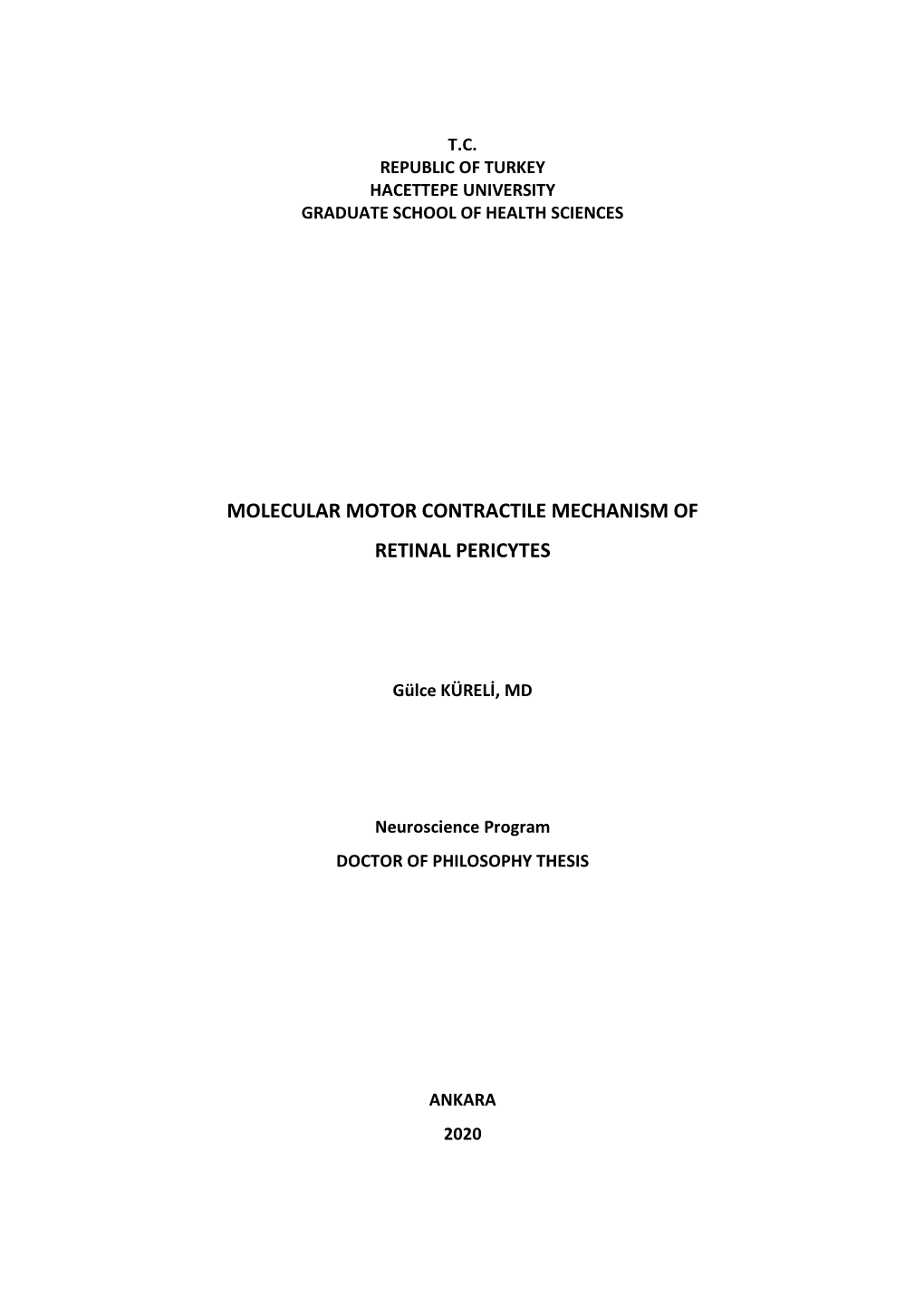 Molecular Motor Contractile Mechanism of Retinal Pericytes