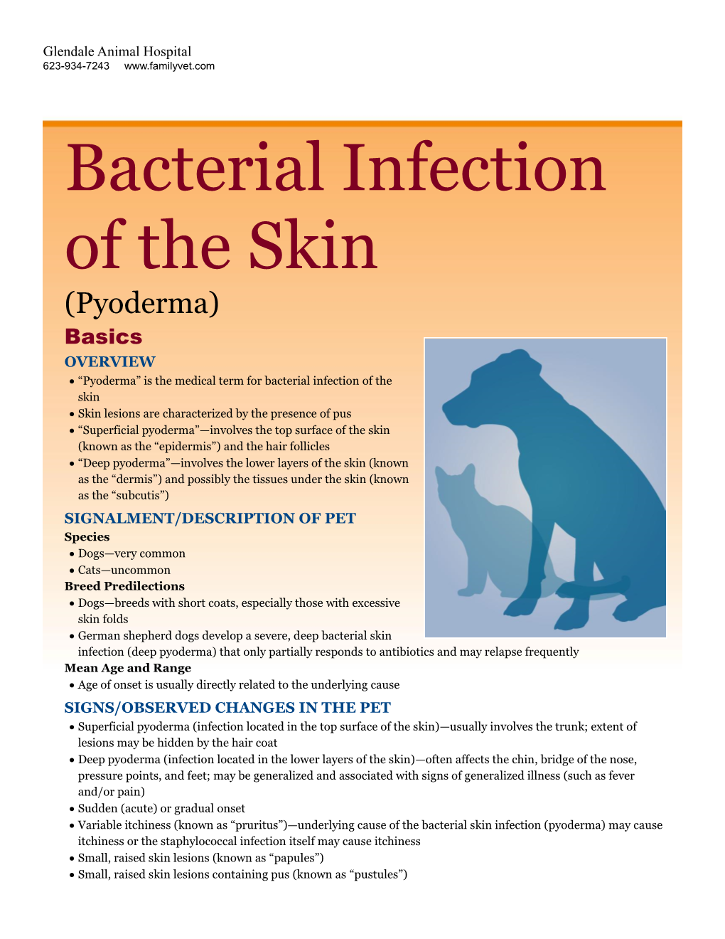 Bacterial Infection of the Skin