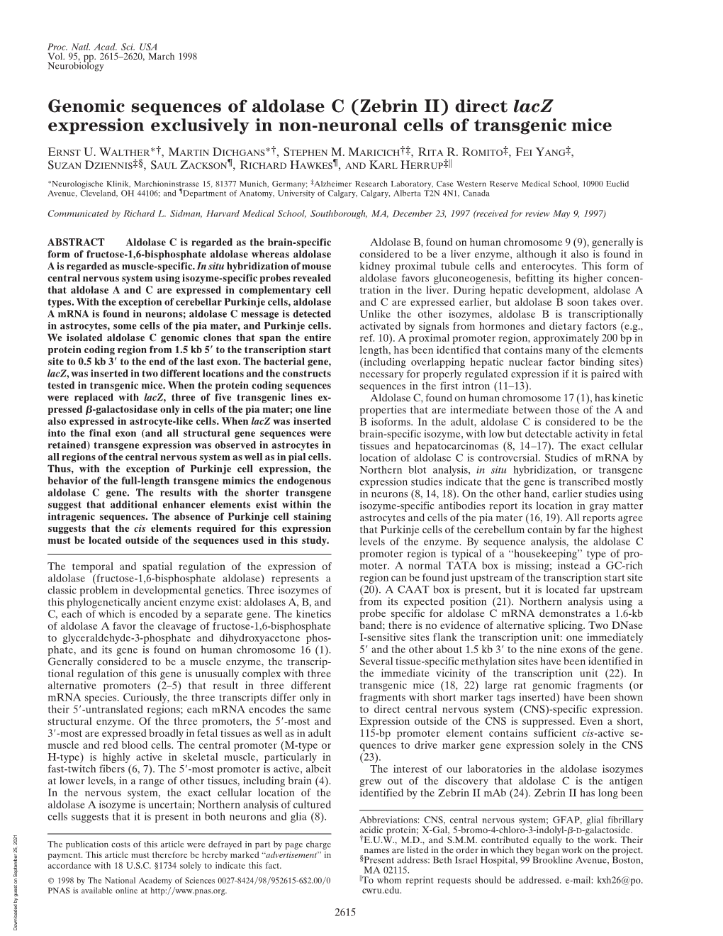 Genomic Sequences of Aldolase C (Zebrin II) Direct Lacz Expression Exclusively in Non-Neuronal Cells of Transgenic Mice