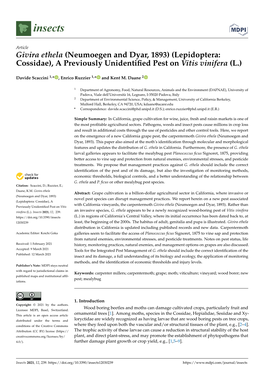 Lepidoptera: Cossidae), a Previously Unidentiﬁed Pest on Vitis Vinifera (L.)