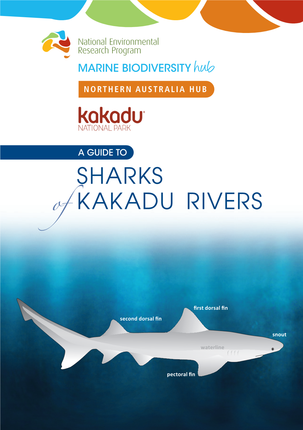 A Guide to Sharks of Kakadu Rivers