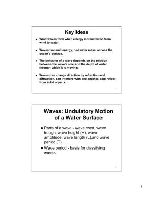 Waves: Undulatory Motion of a Water Surface