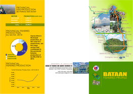 Bataan 25,000 24,000 Fisheries Profile 23,000