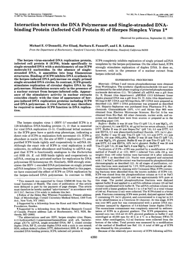 (Infected Cell Protein 8) of Herpes Simplex Virus L*