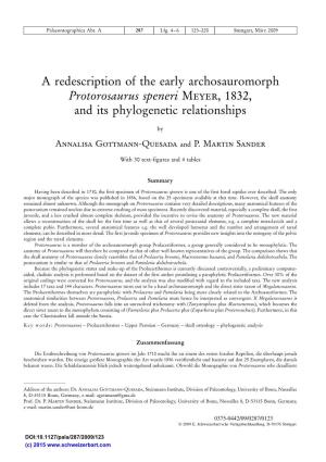 A Redescription of the Early Archosauromorph Protorosaurus Speneri Meyer, 1832, and Its Phylogenetic Relationships