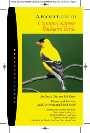 Common Kansas Backyard Birds