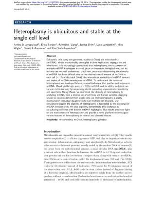Heteroplasmy Is Ubiquitous and Stable at the Single Cell Level