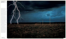 The Lightning Field Walter De Maria Catron County, NM, USA