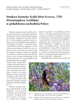 Smukwa Kosmata Scolia Hirta Schrank, 1781 (Hymenoptera: Scoliidae) W Południowo-Zachodniej Polsce