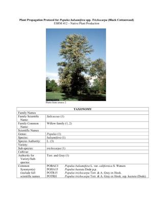 Plant Propagation Protocol for Populus Balsamifera Spp. Trichocarpa (Black Cottonwood) ESRM 412 – Native Plant Production