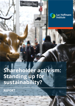 Shareholder Activism: Standing up for Sustainability?