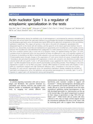 Actin Nucleator Spire 1 Is a Regulator of Ectoplasmic Specialization in the Testis Qing Wen1,Nanli1,Xiangxiao 1,2,Wing-Yeelui3, Darren S