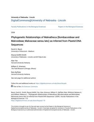 Phylogenetic Relationships of Malvatheca (Bombacoideae and Malvoideae; Malvaceae Sensu Lato) As Inferred from Plastid DNA Sequences