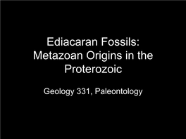 Ediacaran Fossils: Metazoan Origins in the Proterozoic