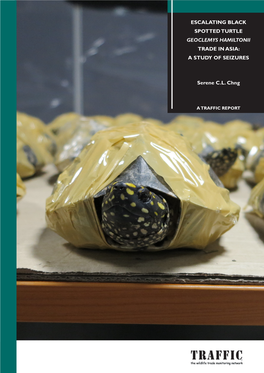 Escalating Black Spotted Turtle Geoclemys Hamiltonii Trade in Asia: a Study of Seizures