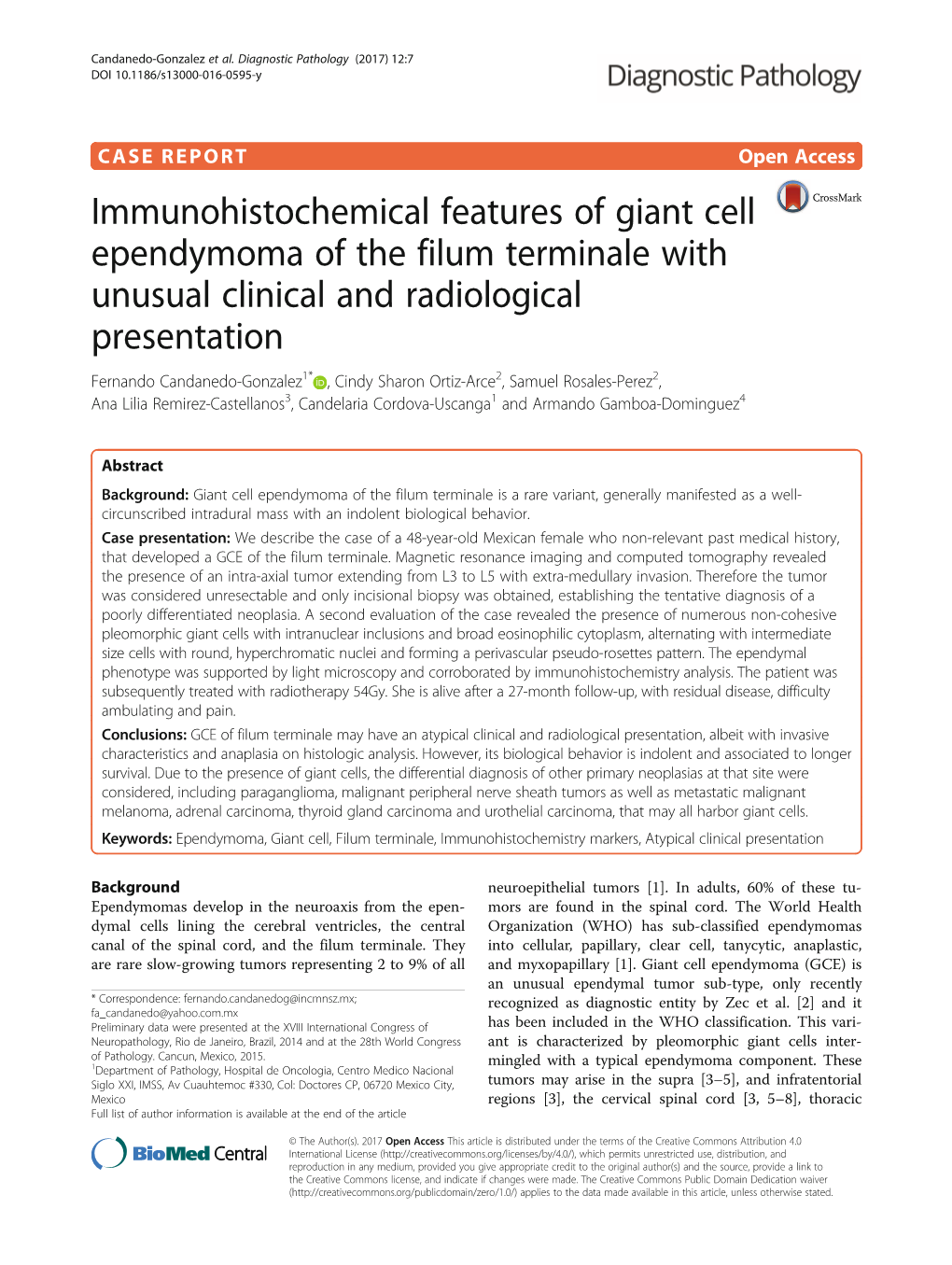 Immunohistochemical Features of Giant Cell Ependymoma of the Filum