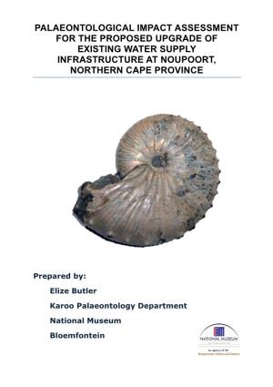 Palaeontological Impact Assessment for the Proposed Upgrade Of