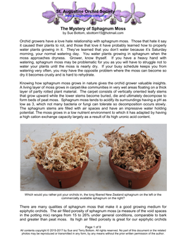 Mystery of Sphagnum Moss by Sue Bottom, Sbottom15@Hotmail.Com